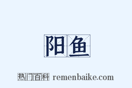 阳鱼是什么意思的图片